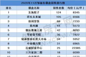 邹城2020年11月房产成交统计及各楼盘销售统计（网签数据）图片