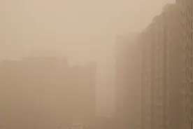 沙尘天气来了，什么食物能“清肺”？图片