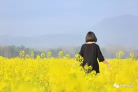 手绘腾冲 春天里最美的一抹色彩图片