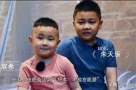 这档萌娃节目，单凭一对开朗兄弟，就让你看了想生同款图片