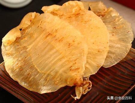 花胶被虫子吃掉 2026年花胶被虫子吃掉了怎么办 花胶被虫子吃掉 2026年花胶被虫子吃掉了怎么办