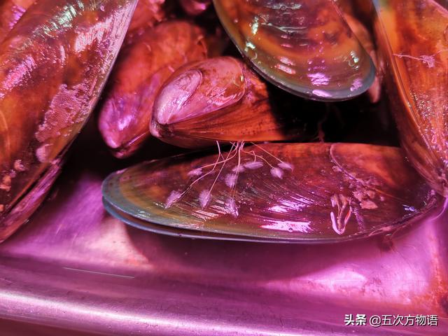 六耳赤嘴鱼胶有收藏价值吗 2026年六耳赤嘴鱼胶的功效和作用