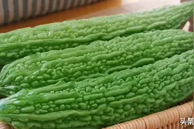 用苦瓜做两道减脂私房菜，清脆爽口而不苦，常吃还有养颜的效果图片