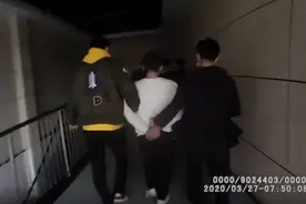 【净网2020】防范电信网络诈骗，“黑灰产”犯罪你应该了解一下图片