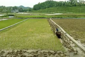 我的地盘我做主，在自家耕地上建养殖场可以吗？图片