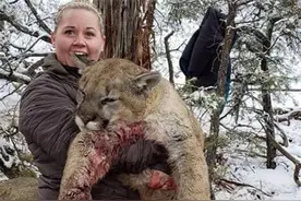 真实的猛兽复仇：这些经验老道的猎人，无一例外的全被猎物反杀图片