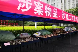 男子老宅被查！打开冰柜，查获野生动物14只、各类野生动物毛皮4894张、野生动物冻肉100余斤图片