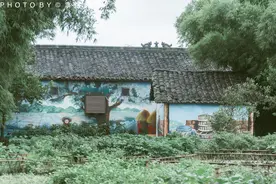 四川绵竹的年画村，川西风格民居中，传承着国家级非物质文化遗产图片