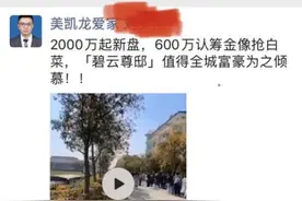 上海买8000万豪宅就像抢白菜？600万认筹金仅是门槛，报复性购房要来了？你要买房吗？图片