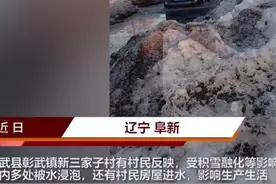辽宁一村庄雪化成灾惊现“地上河”！融雪热多可怕？不止地趴粮图片