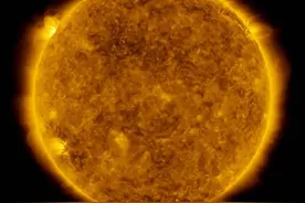 科学家最新提出：生命是由来自外太空的强大力量塑造图片