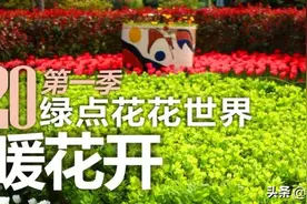 2020年春季绵阳踏青推荐-绿点花花世界春暖花开,离你很近！图片