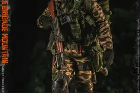 俄联邦武装部队 -山地机动步兵作战旅 -DAMTOYS图片