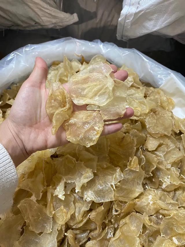 蝴蝶胶怎么泡发 2026年蝴蝶胶怎么泡发快 蝴蝶胶怎么泡发 2026年蝴蝶胶怎么泡发快