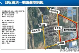 碧桂园地产商住项目策划讲义图片