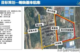 碧桂园地产商住项目策划讲义图片