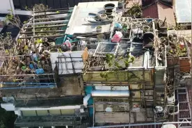 出手了！出手了！沪上20多年巨无霸“鸟巢”，拆拆拆图片