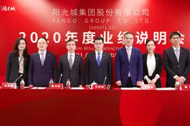 阳光城的2020：销售额2000亿+，交付套数10万+，物管计划上市图片