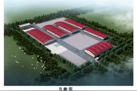 贺兰将建设一食用椒项目，规划方案正在公示图片