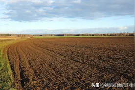 农民土地被征收，补偿款该怎么给？图片