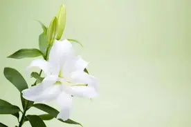 致你我：不负春光，不负自己！图片