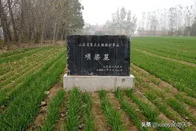 探访菏泽定陶古遗迹——项羽叔父项梁墓图片