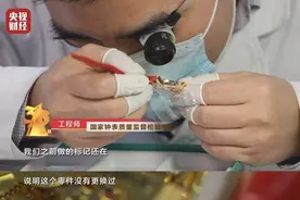 央视3·15晚会曝光：名表“躺”一夜就“修好了”，千元维修费到手图片