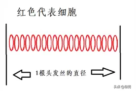 2020年料理机/破壁机选购指南及红黑榜，让你不上当（务必收藏）图片