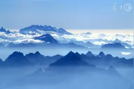小说：他和一只豹子打斗，自己昏了过去，醒来后豹子已经死掉了图片