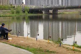 钓鱼圈也存在鄙视链？野钓黑坑吵得最凶，路亚在角落瑟瑟发抖图片