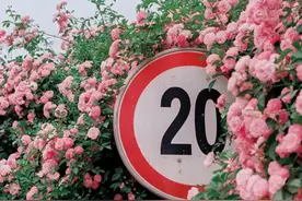 温柔的定义图片