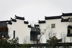 安徽三所专科学校或将升格，变成“本科”大学，当地学生们有福了图片