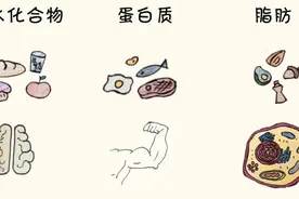 想要吃得饱还不怕胖？教你一招图片