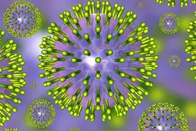 五岁儿童感染单纯疱疹病毒死亡，医生特别提醒：不要随便亲吻孩子图片