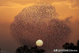 专治密集恐惧症，胆小慎入！图片