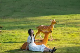 神奇蔡甸在哪里？图片