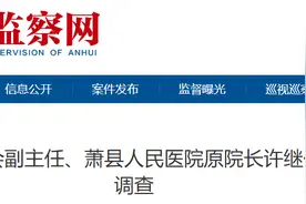 安徽一县人大常委会副主任落马！“心腹”同时被查图片