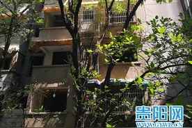 “庙堂”里的皂角树 见证贵阳紫林庵风雨半个多世纪图片