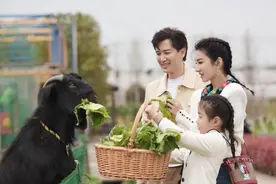 黄奕带小女儿相亲，斩获好评无数：高情商的孩子，是妈妈的神助攻图片