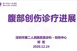 落实柔性支持政策，交流创伤救治经验——深圳市第二人民医院创伤团队-彭湃纪念医院急诊科交流图片