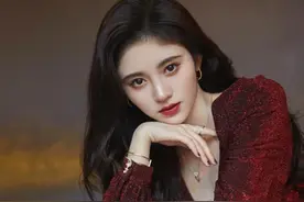 17岁男生假扮富二代，借款92万只为追星，指向明显疑是某女团图片