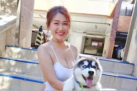 白云-一位很爱护宠物的香港美女演员图片