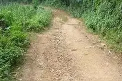 民间文学| 响马道的传说图片