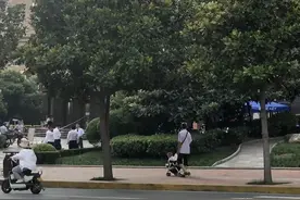 深度｜都市随迁老人 如何走出异乡焦虑？图片