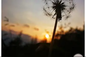 青春不在，只留回忆（一）图片