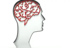 24小时动态脑电图可以监测到癫痫吗图片