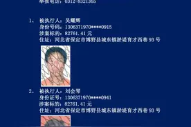 河北3市实名曝光！这31人将处处受限图片