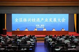 “桂九条”落地，广西百亿酒产业“作战地图”曝光图片