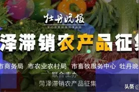 菏泽一农户5万斤芹菜滞销，求带走图片
