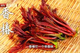 这4类食物吃前不焯水，就等于“吃毒”！再懒也别省这一步图片